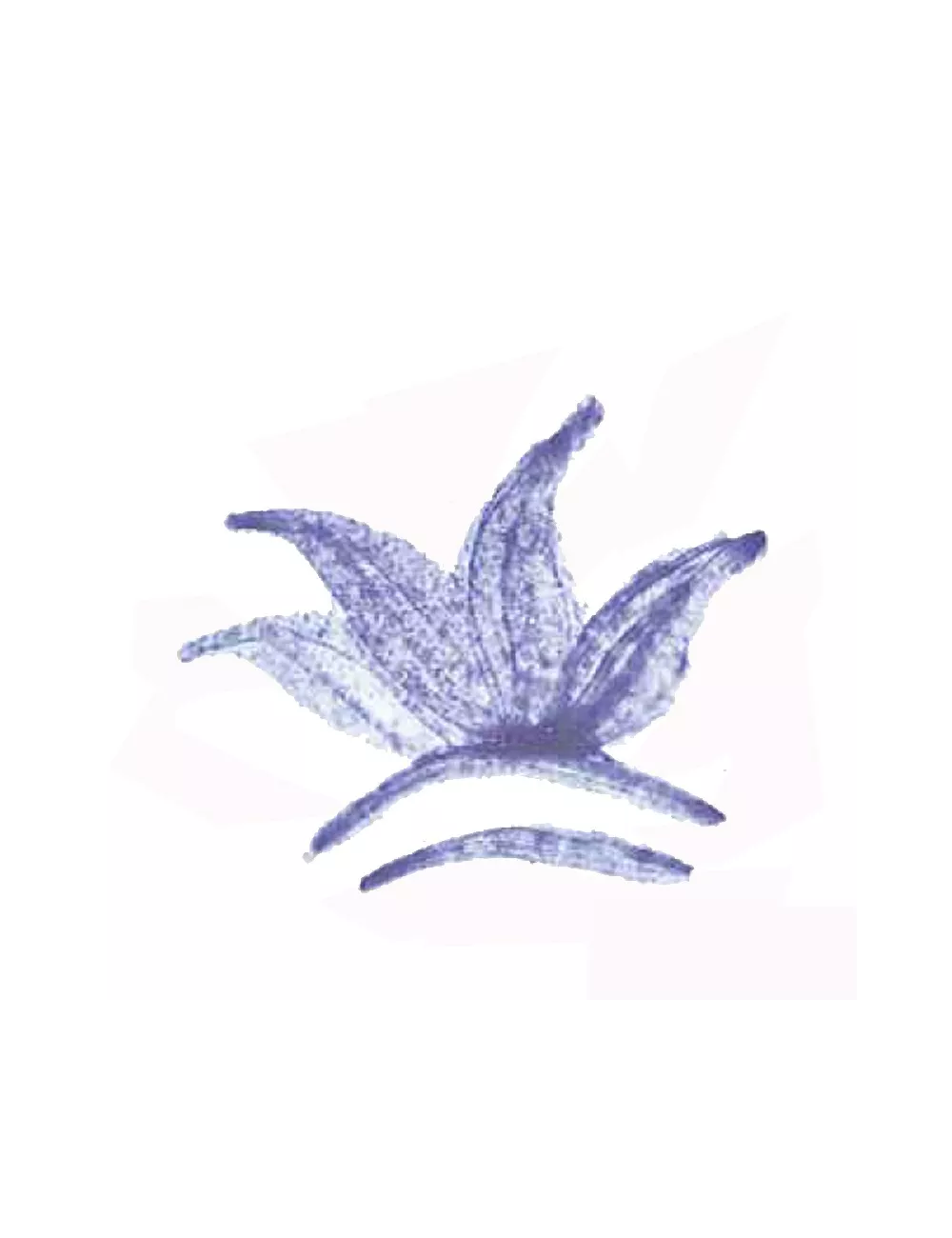 COLORANT  POUDRE BLEU CELESTE P82