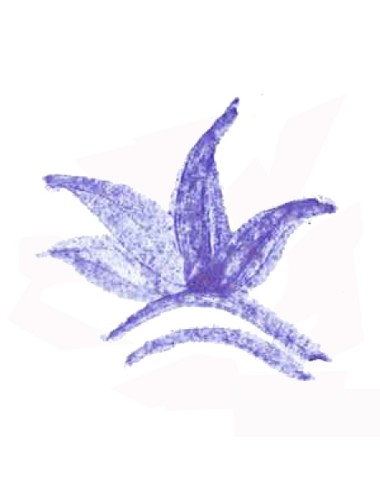 COLORANT POUDRE BLEU CIEL P11