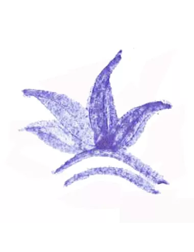 COLORANT POUDRE BLEU CIEL P11