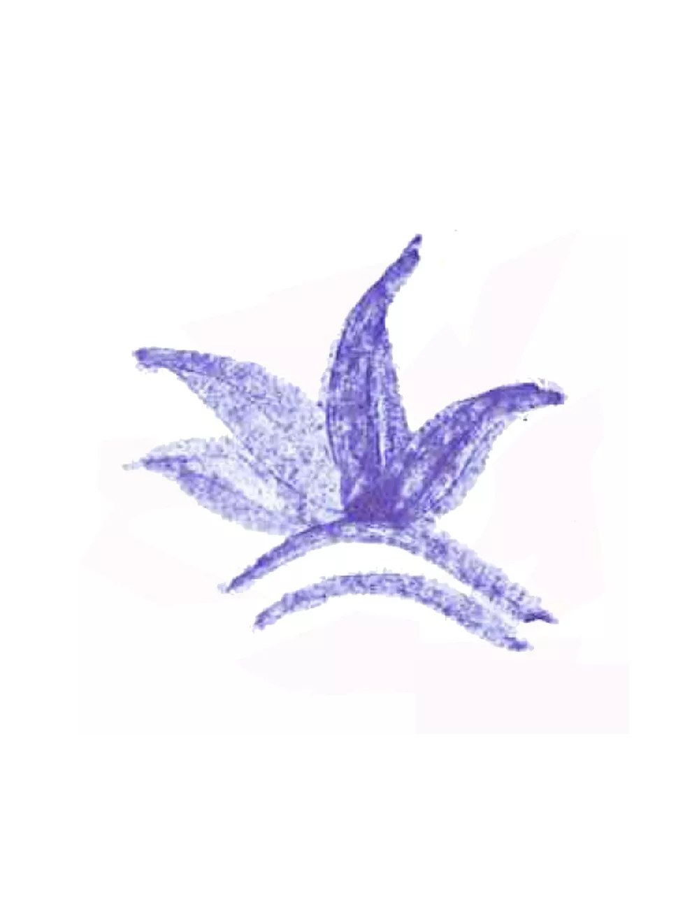 COLORANT POUDRE BLEU CIEL P11