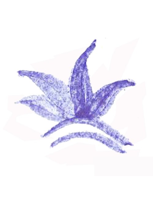 COLORANT POUDRE BLEU CIEL P11