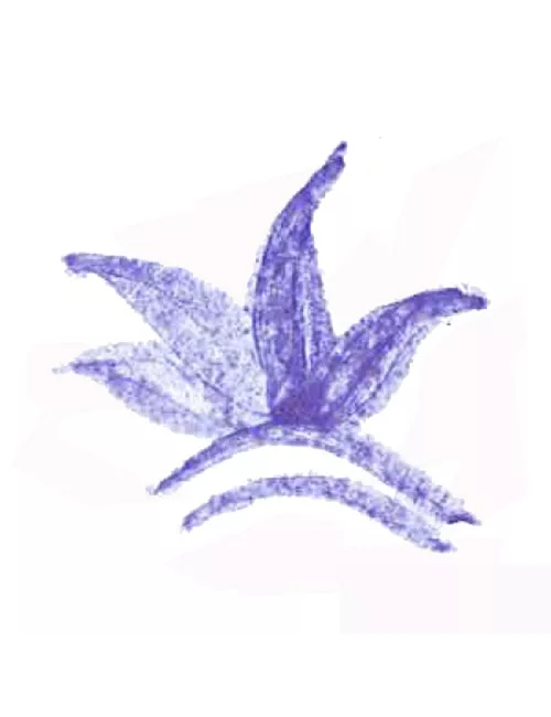 COLORANT POUDRE BLEU CIEL P11