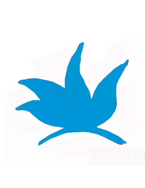 COLORANT POUDRE BLEU CLAIR P250