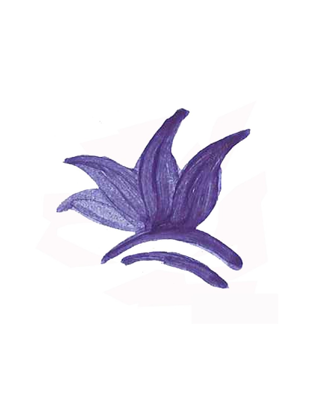 COLORANT POUDRE BLEU COBALT P45