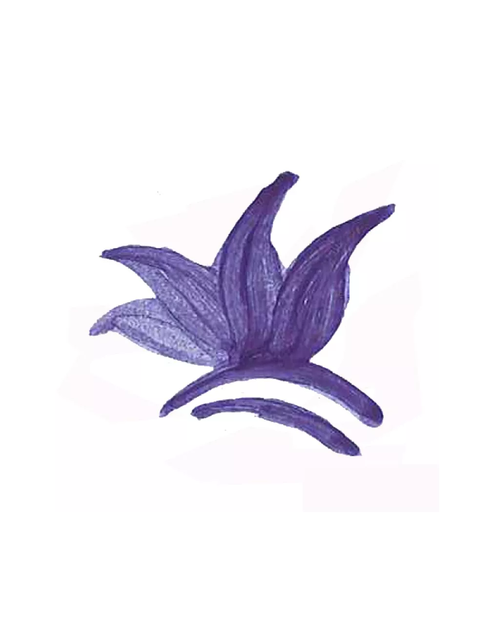 COLORANT POUDRE BLEU COBALT P45
