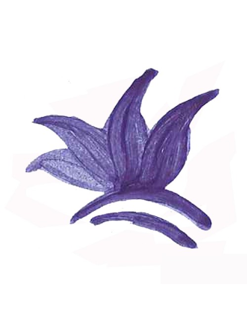 COLORANT POUDRE BLEU COBALT P45