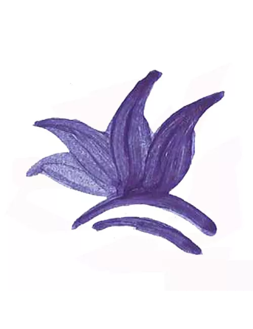 COLORANT POUDRE BLEU COBALT P45
