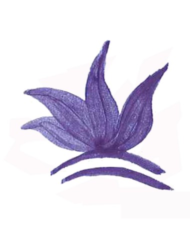 COLORANT POUDRE MASSE BLEU COBALT P19