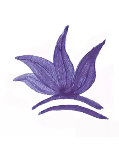 COLORANT POUDRE MASSE BLEU COBALT P19