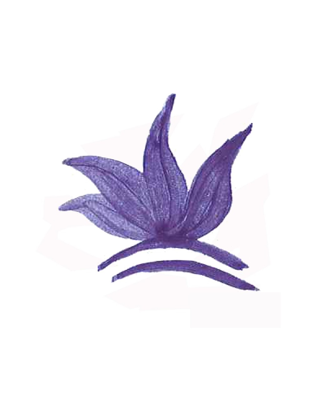 COLORANT POUDRE MASSE BLEU COBALT P19