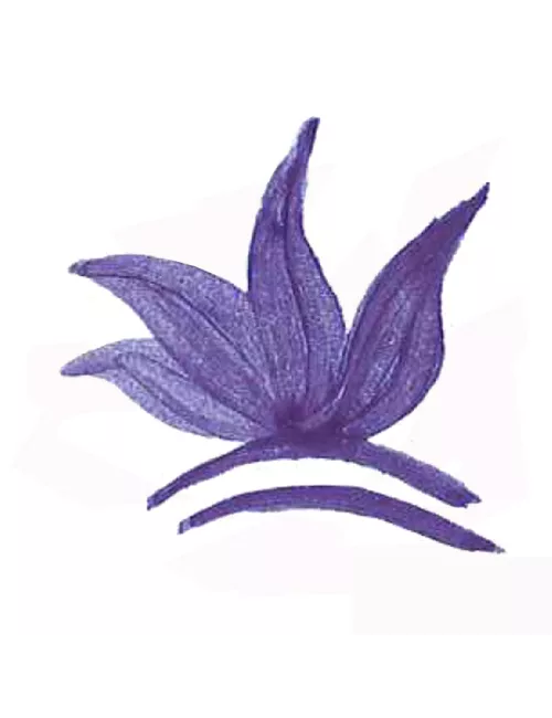 COLORANT POUDRE MASSE BLEU COBALT P19