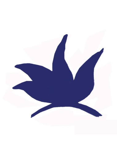 COLORANT POUDRE BLEU DE FRANCE P04 