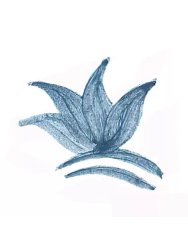 COLORANT POUDRE BLEU GRIS P188