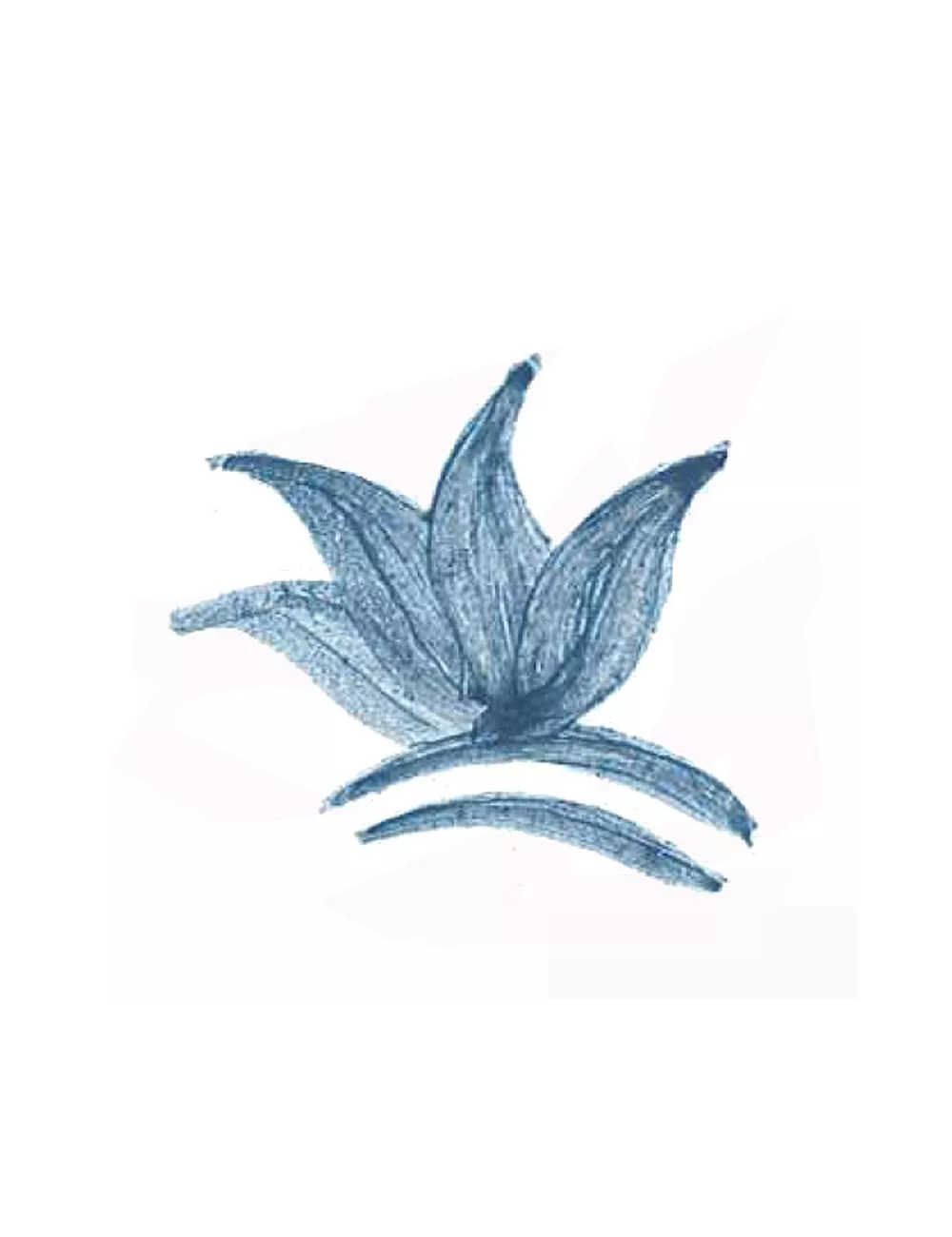 COLORANT POUDRE BLEU GRIS P188