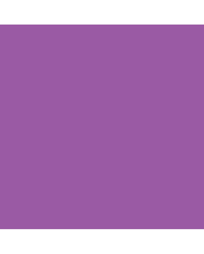 CRAYON VIOLET 612