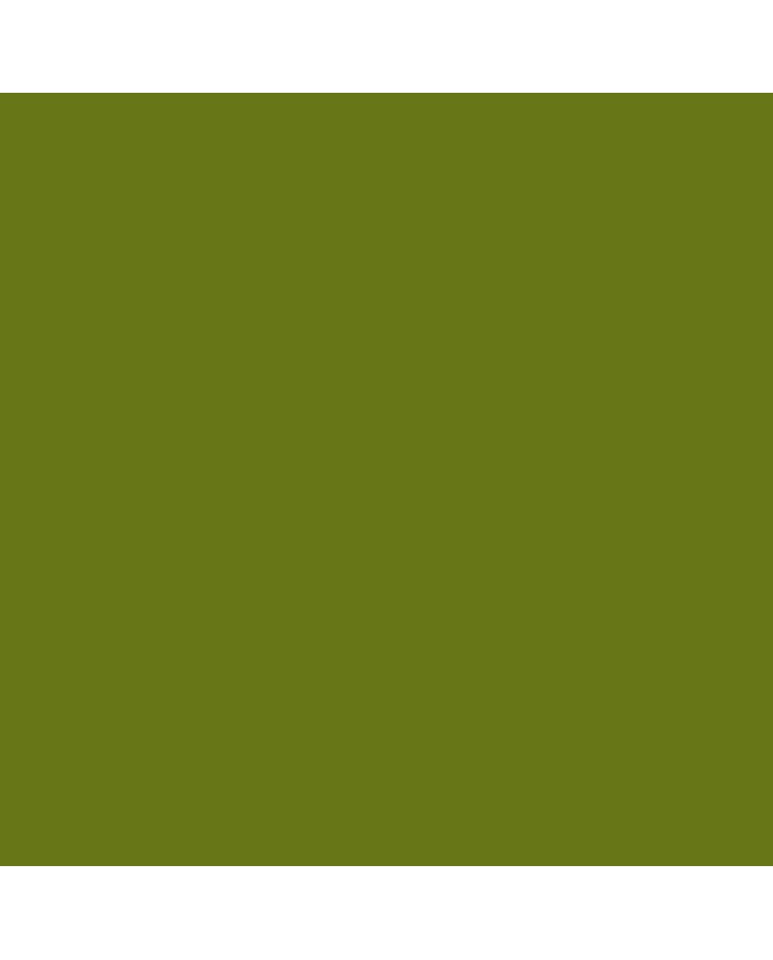 CRAYON VERT OLIVE 610