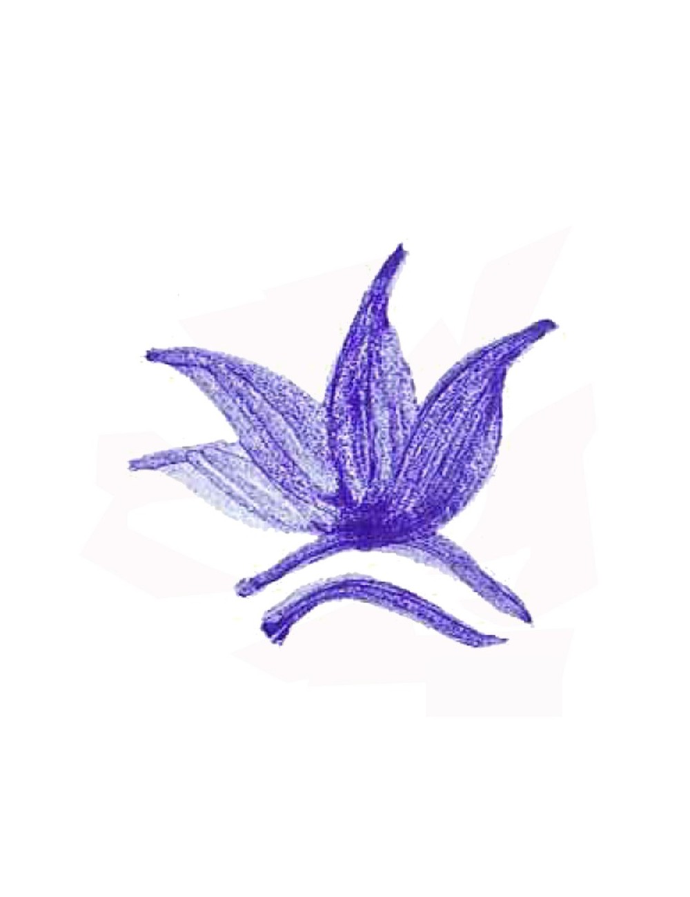 COLORANT POUDRE MASSE BLEU LAVANDE P12