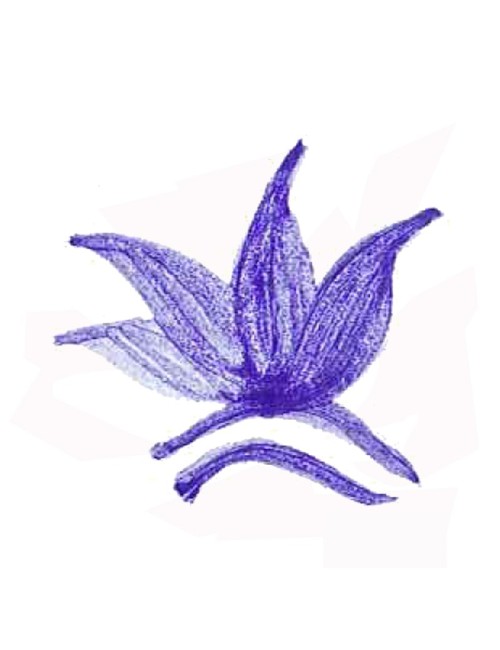 COLORANT POUDRE MASSE BLEU LAVANDE P12