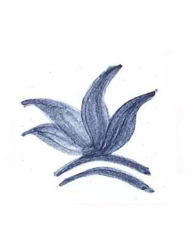 COLORANT POUDRE BLEU PETROLE P201