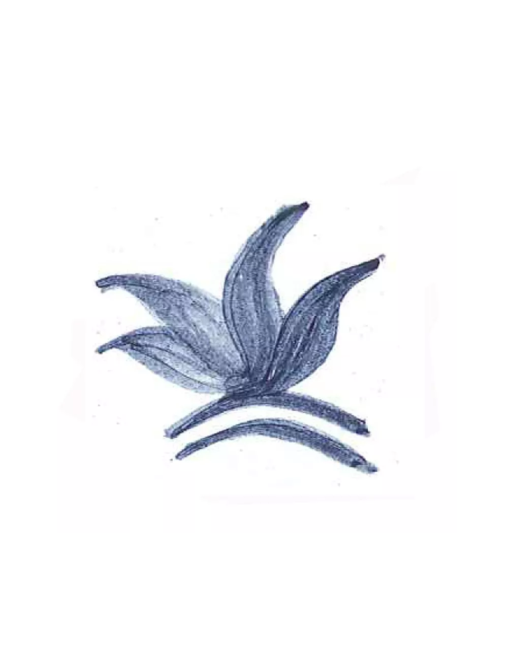 COLORANT POUDRE  BLEU PETROLE P201