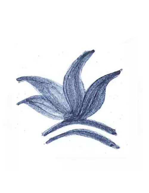 COLORANT POUDRE  BLEU PETROLE P201