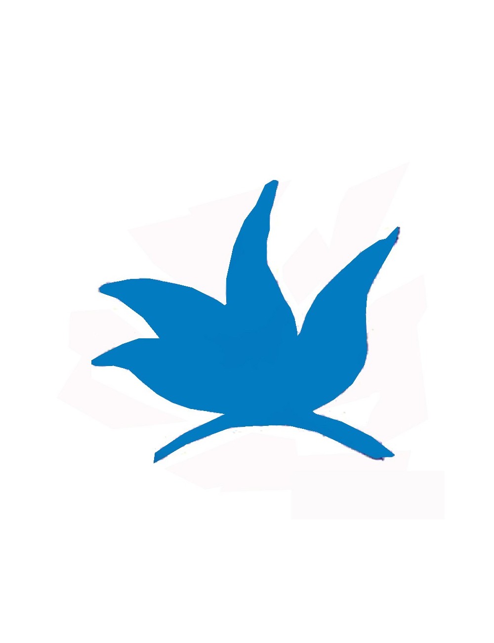 COLORANT POUDRE BLEU TURQUOISE P156