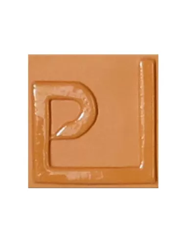 ENGOBE FAÏENCE LIQUIDE SANS PLOMB OCRE 1KG ENSP19LL