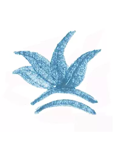 COLORANT POUDRE BLEU TURQUOISE P16