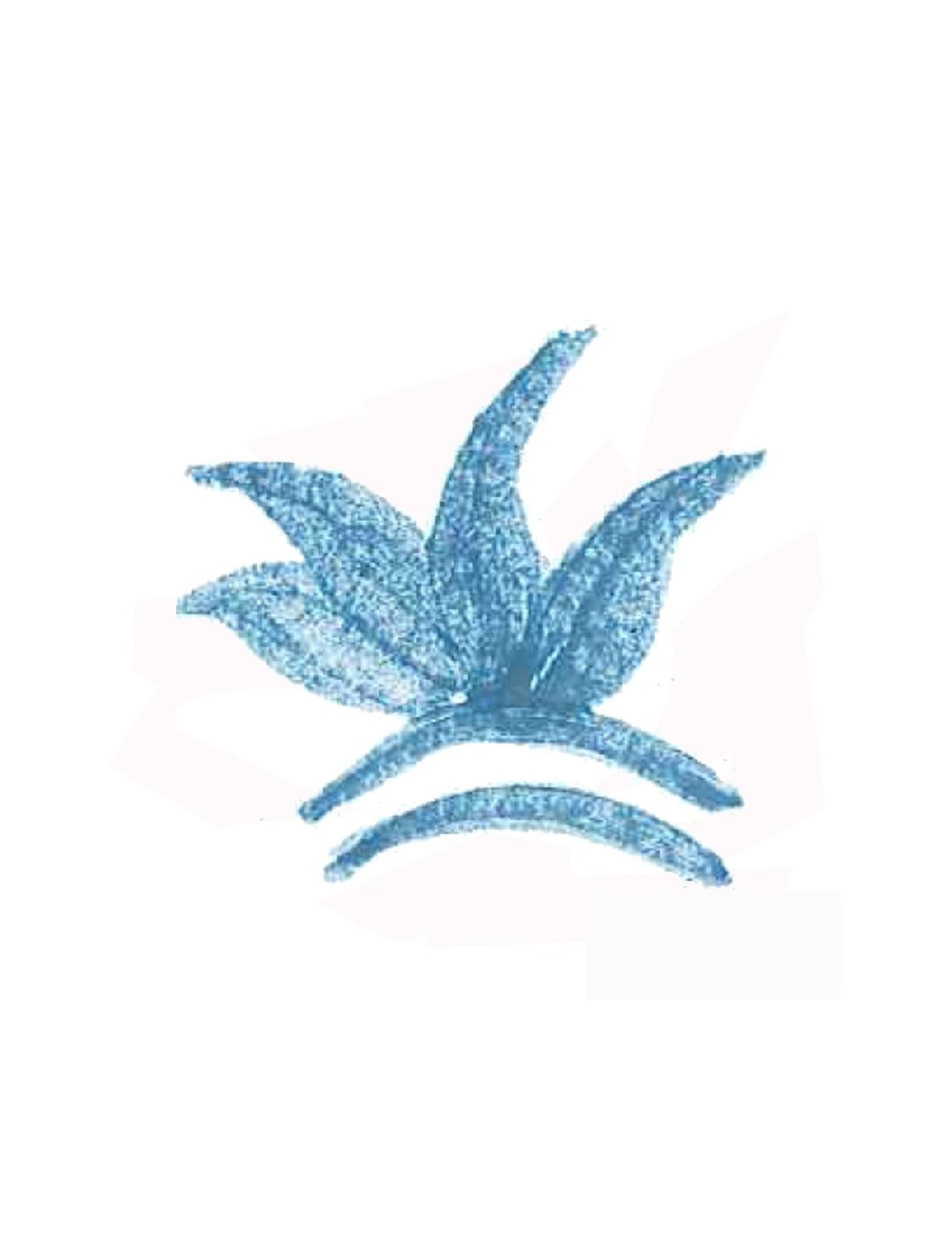 COLORANT POUDRE BLEU TURQUOISE P16