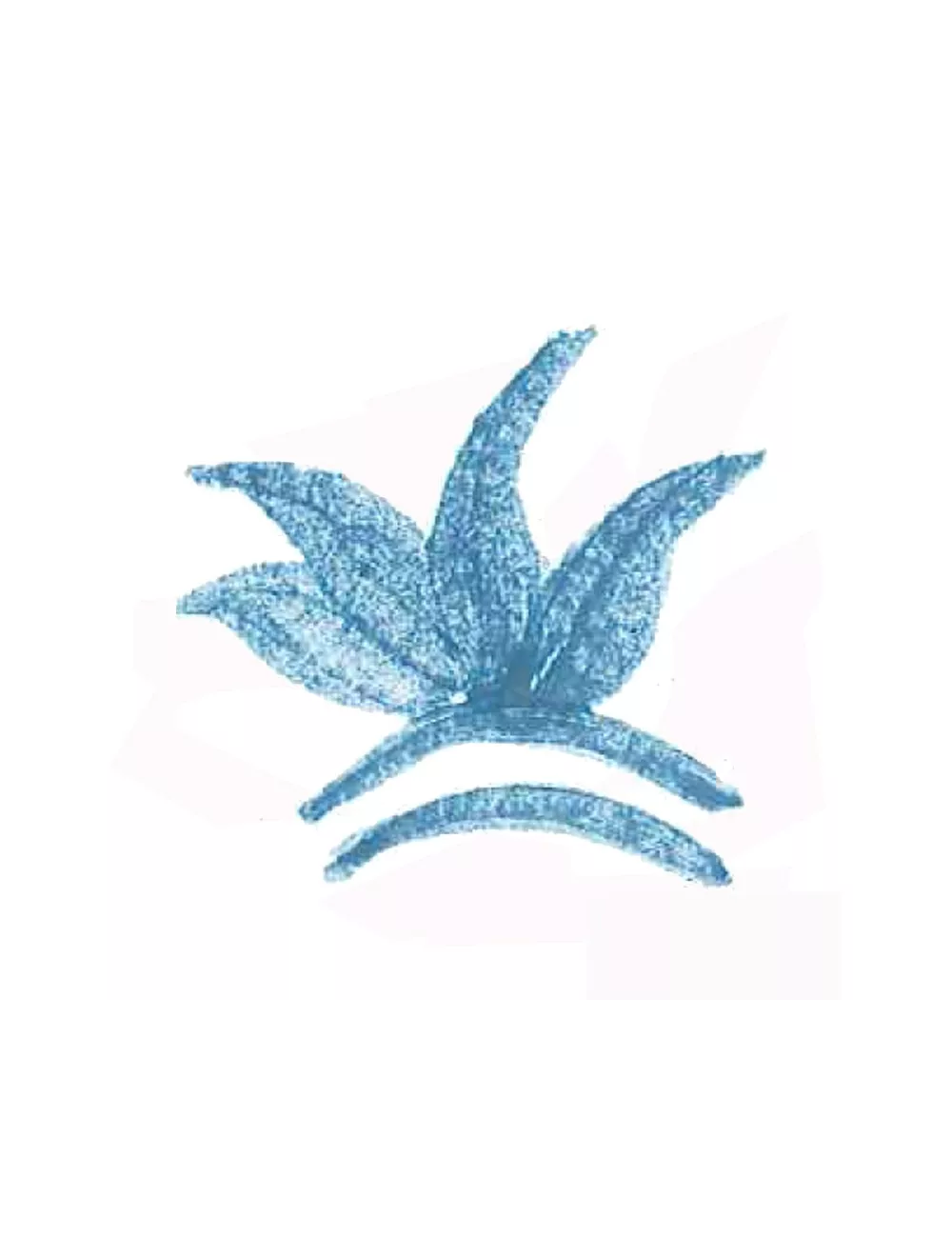 COLORANT POUDRE BLEU TURQUOISE P16