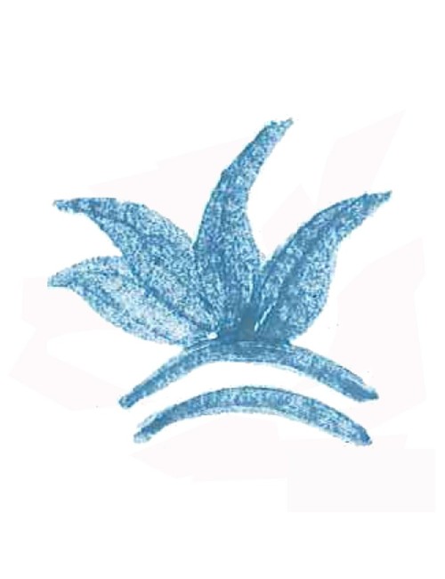 COLORANT POUDRE BLEU TURQUOISE P16