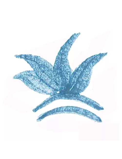 COLORANT POUDRE BLEU TURQUOISE P16