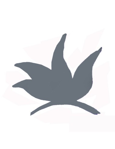 COLORANT POUDRE GRIS P01/S 