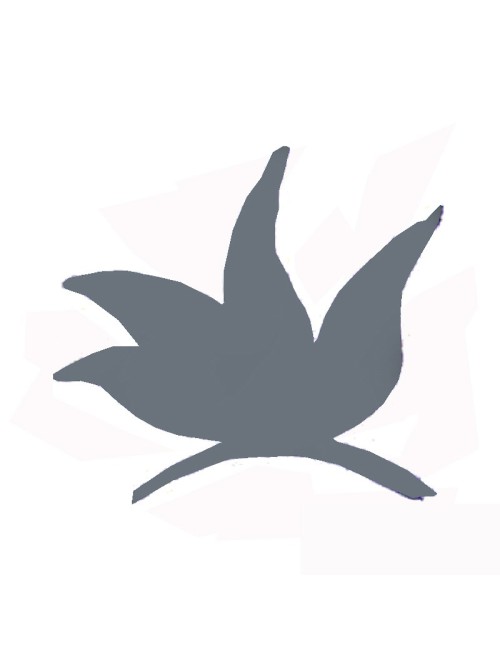 COLORANT POUDRE GRIS P01/S 