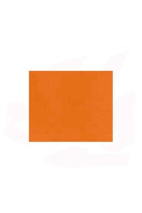 EMAIL OPAQUE MAT ORANGE CLAIR CSM103