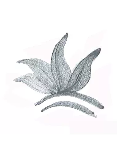 COLORANT POUDRE GRIS VERT P218