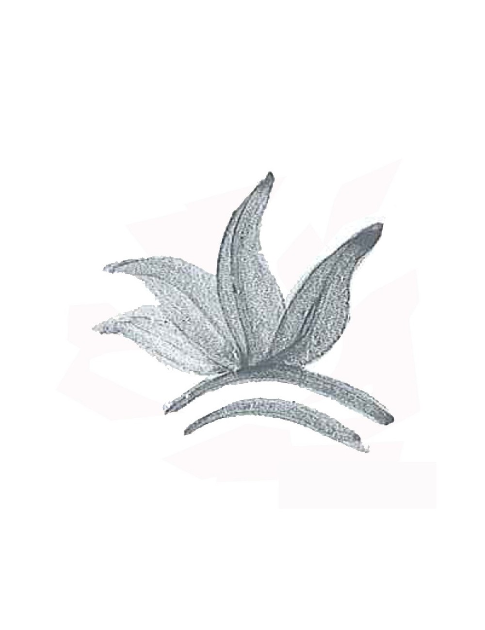 COLORANT POUDRE GRIS VERT P218