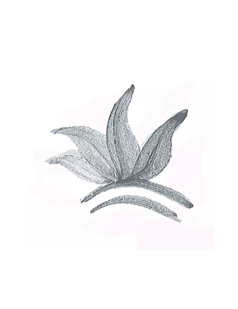 COLORANT POUDRE GRIS VERT P218