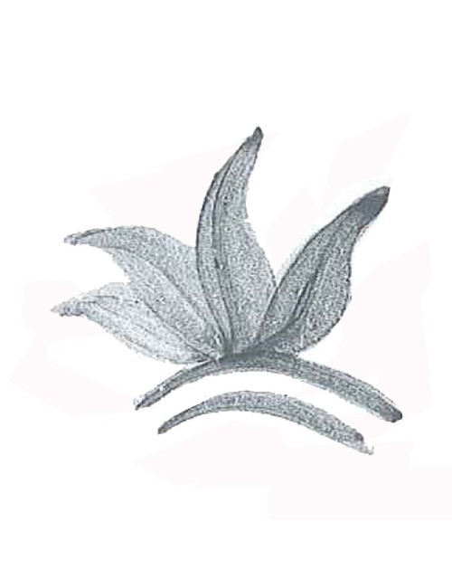 COLORANT POUDRE GRIS VERT P218