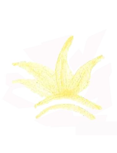 COLORANT POUDRE JAUNE P125