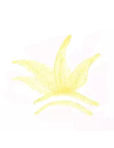 COLORANT POUDRE JAUNE P125