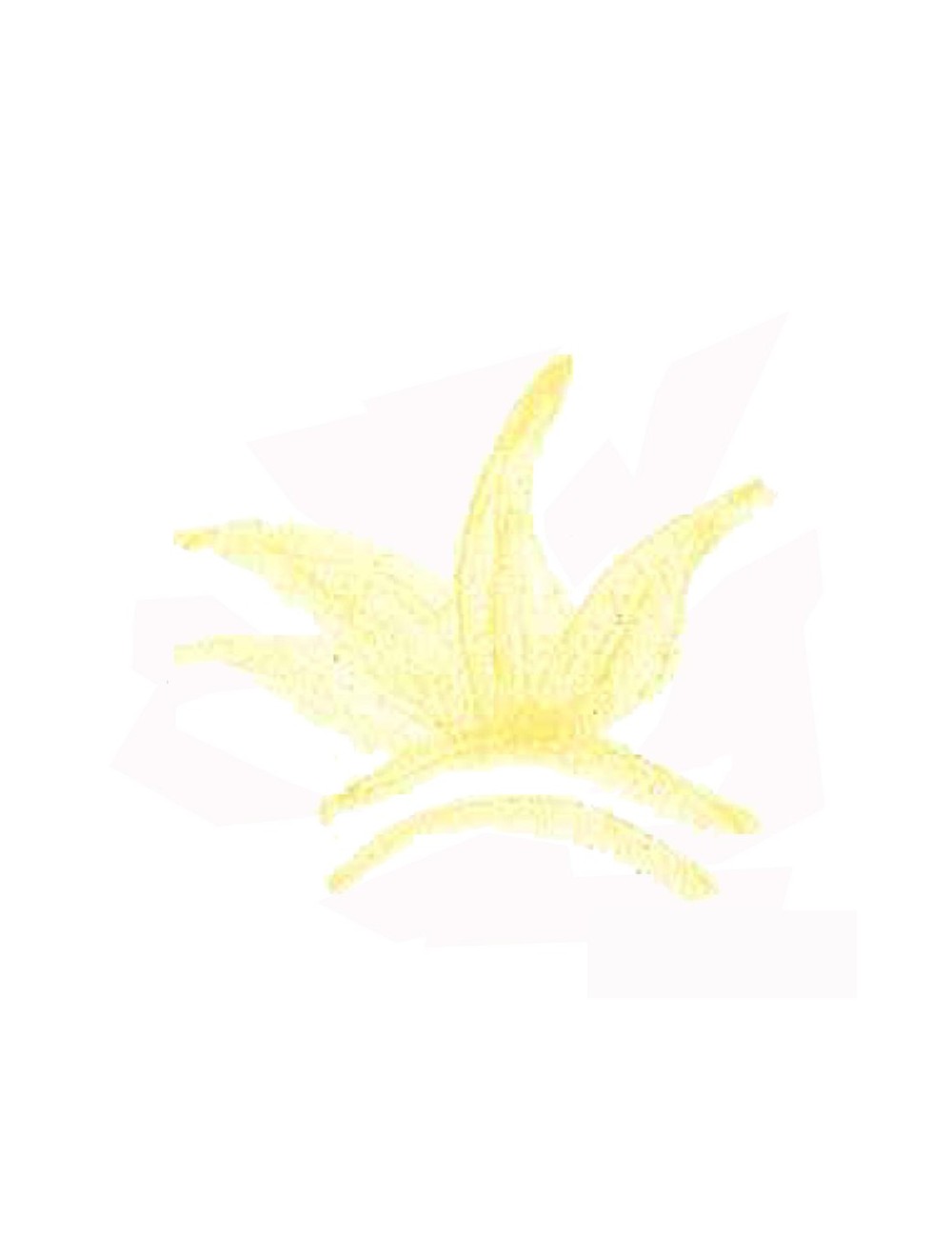 COLORANT POUDRE JAUNE P125