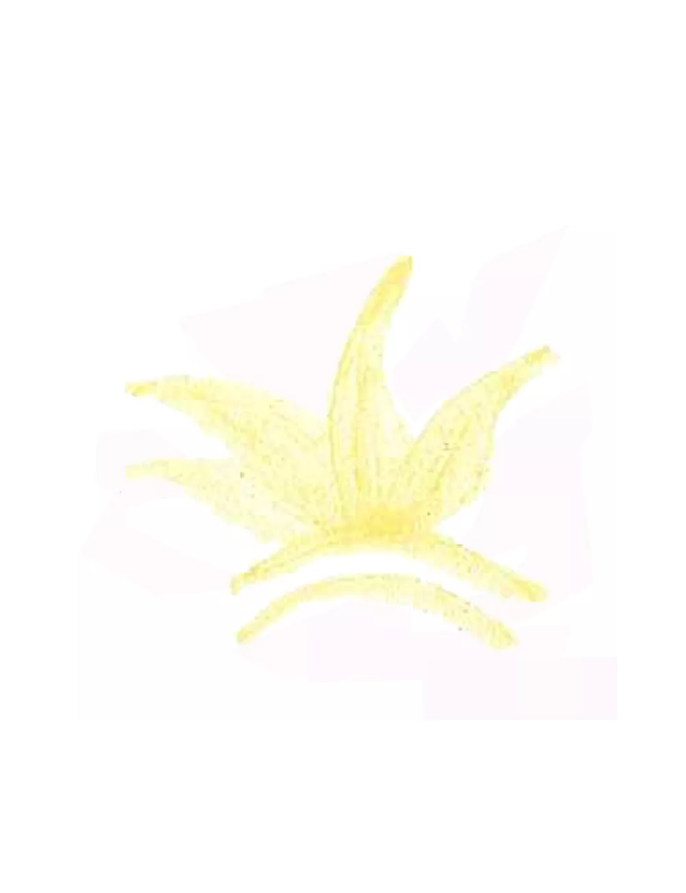 COLORANT POUDRE JAUNE P125