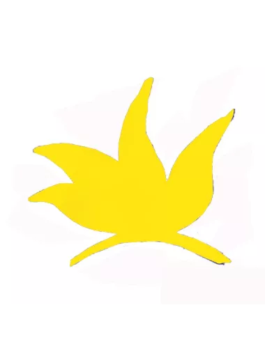 COLORANT POUDRE JAUNE INTENSE P508