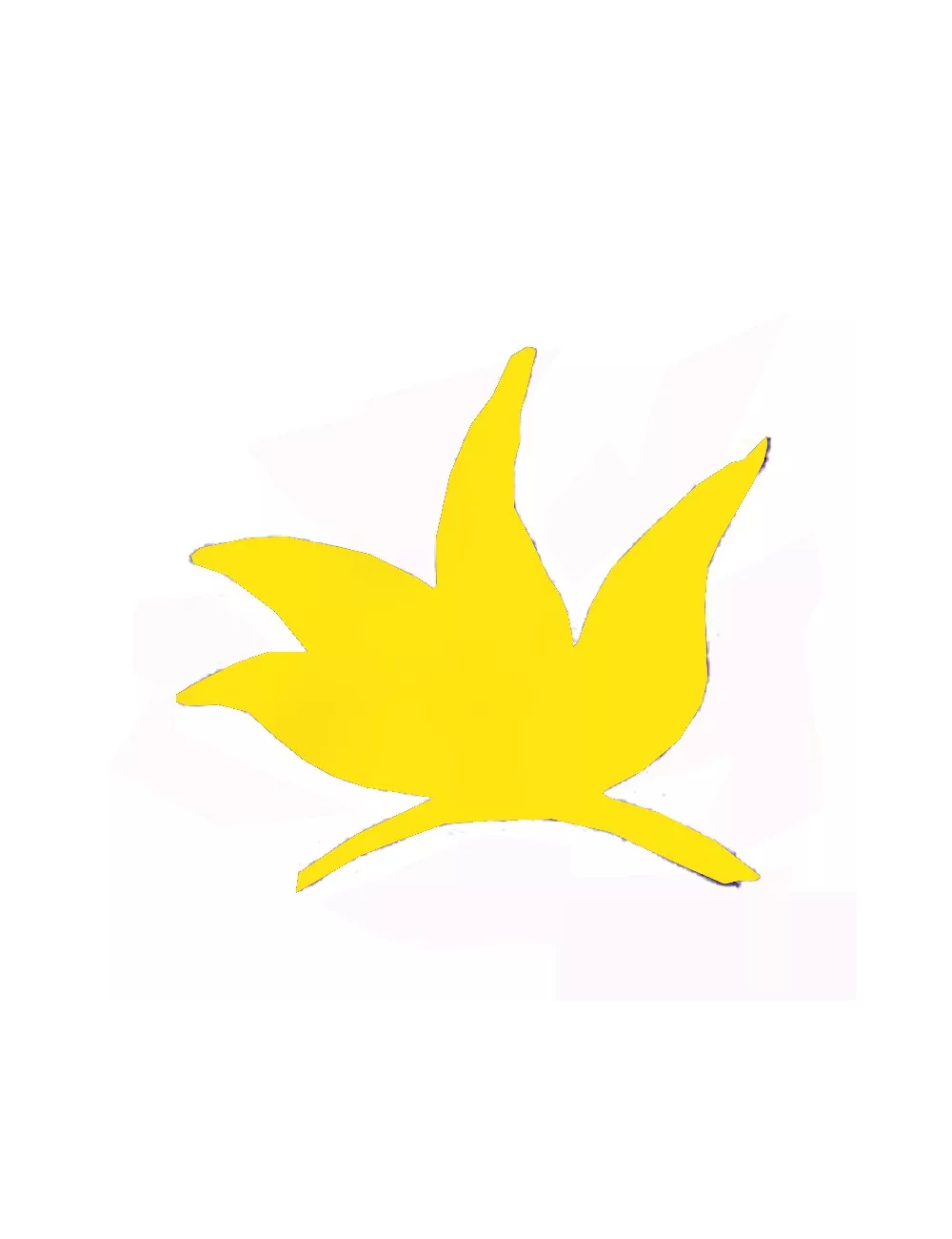 COLORANT POUDRE JAUNE INTENSE P508