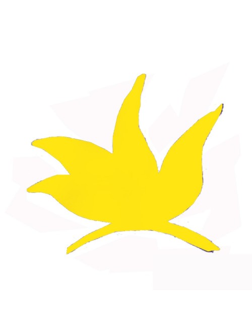 COLORANT POUDRE JAUNE INTENSE P508