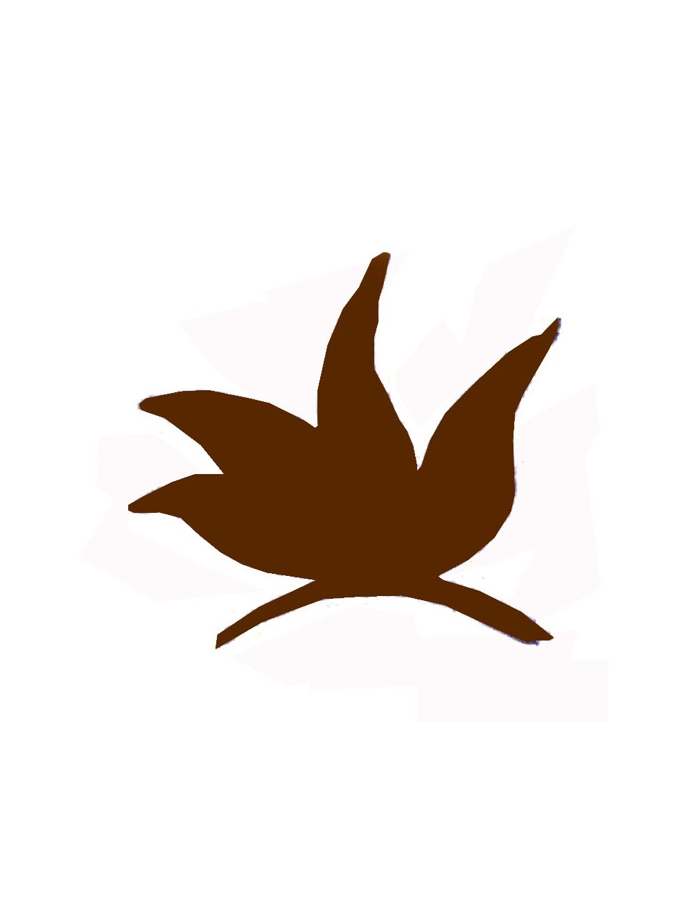 COLORANT POUDRE MARRON NOISETTE P37