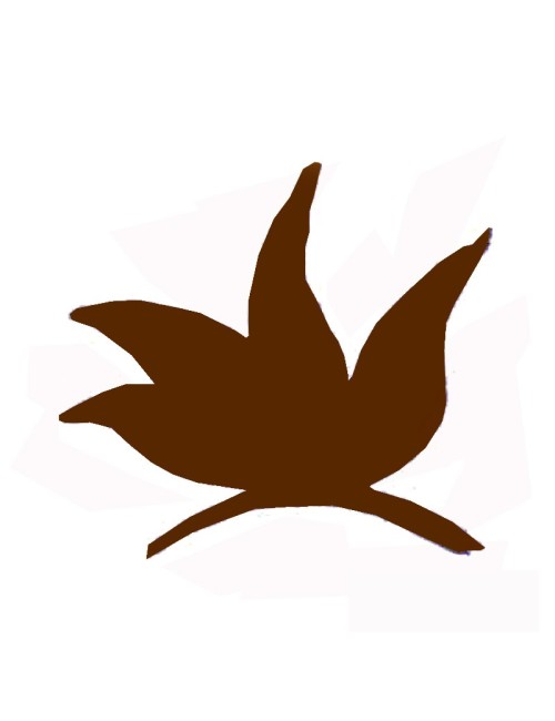 COLORANT POUDRE MARRON NOISETTE P37