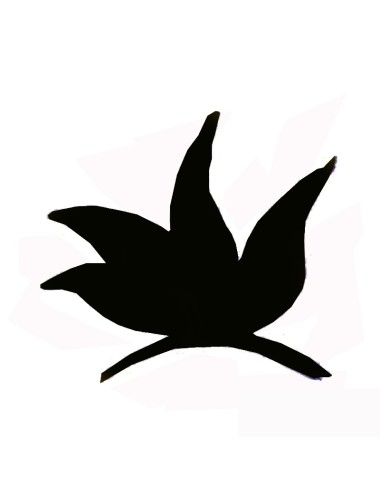 COLORANT POUDRE NOIR P607