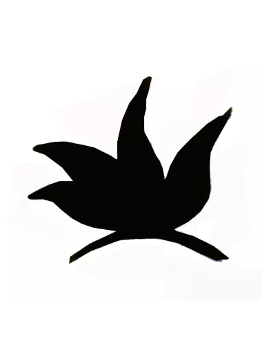 COLORANT POUDRE NOIR P607